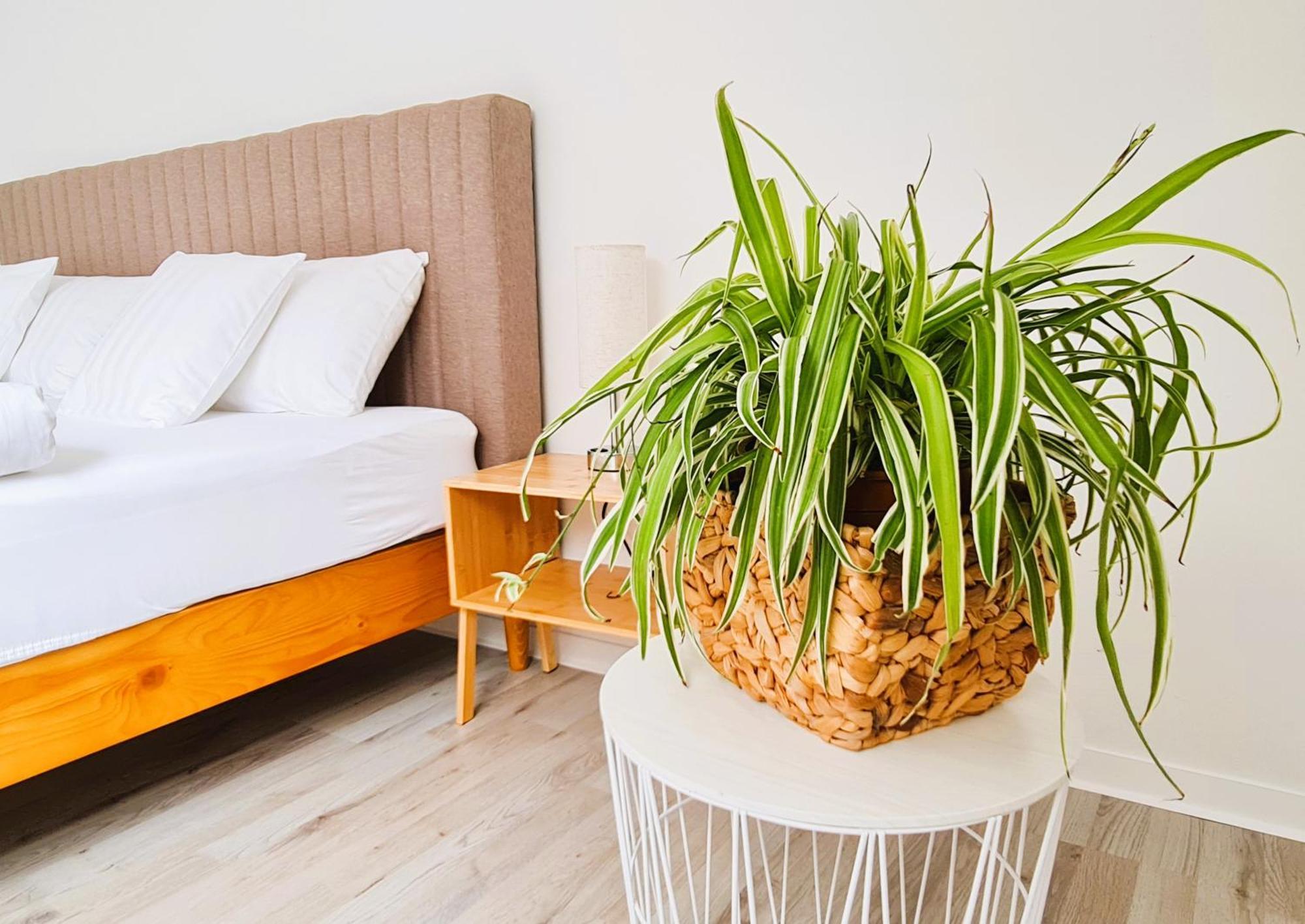Apartment Naehe Airbus Манхінґ Екстер'єр фото